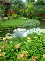 garden-pond-plantings