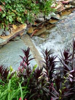 garden-stream-border