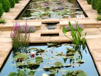 water-garden-lillies